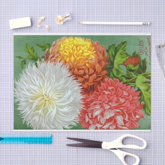 Antiek Chrysanthemum Giants Weefpapier Tissuepapier (Craft)