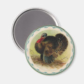 Antiek Clapsaddle Turkije magneet (Voorkant / Achterkant)