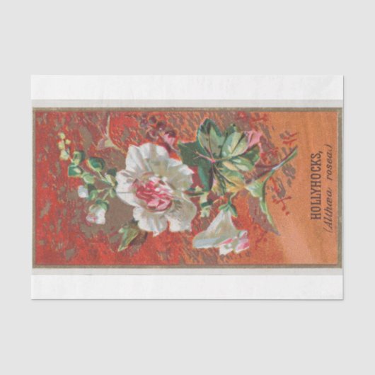 Antiek Classic Hollyhock Flowers Tissuepapier (Voorkant)