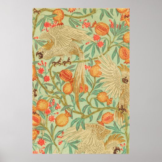 Antiek Cockatau en Pomegranaat Poster (Voorkant)