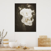 Antiek Daffodildruk Poster (Keuken)