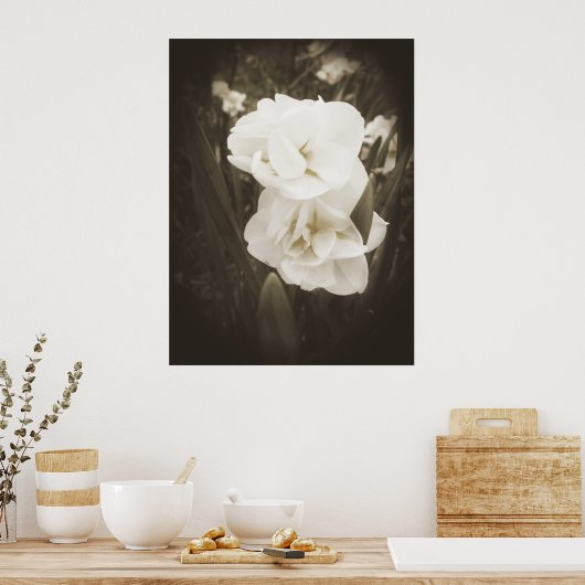 Antiek Daffodildruk Poster (Keuken)
