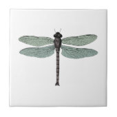 Antiek Damselfly Dragonfly Insect Tekening Tegeltje (Voorkant)