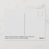 Antiek deuropslag, groeten uit Dublin Briefkaart (Achterkant)