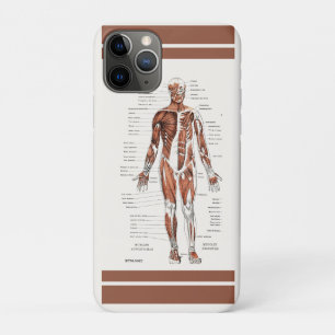 Antiek Diagram van het Spierstelsel en Bloedsomloo Case-Mate iPhone Case
