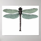 Antiek  dragonfly-trektekening Typografisch Poster (Voorkant)