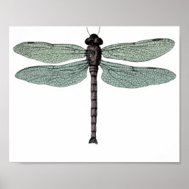 Antiek  dragonfly-trektekening Typografisch Poster