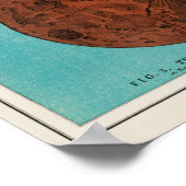 Antiek Eclipse van de Maan Drawing, Poster 1908 (Hoek)