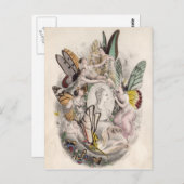 Antiek feiernymphen afdrukken briefkaart (Voorkant / Achterkant)