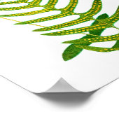 Antiek Fern-afdruk nr. 2 Botaniale Kunst Poster (Hoek)