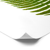 Antiek fern Botanische afdruk nr. 3 Tuindecor Poster (Hoek)