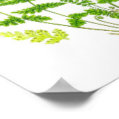Antiek Fern print #11 Groene Natuur Botanische kun (Hoek)