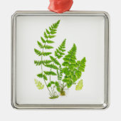 Antiek Fern print #11 Groene Natuur Botanische kun Metalen Ornament (Voorkant)