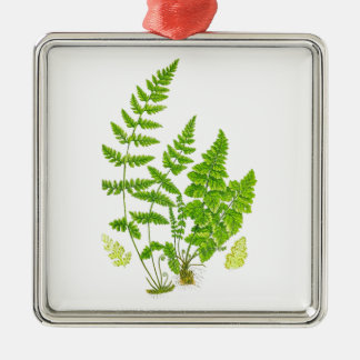 Antiek Fern print #11 Groene Natuur Botanische kun Metalen Ornament