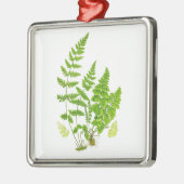 Antiek Fern print #11 Groene Natuur Botanische kun Metalen Ornament (Links)