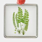 Antiek Fern print #12 Groene Natuur Botanische kun Metalen Ornament (Voorkant)