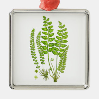 Antiek Fern print #12 Groene Natuur Botanische kun Metalen Ornament