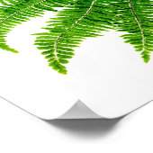 Antiek Fern Print No.5 Green Natuur Botanical Art (Hoek)