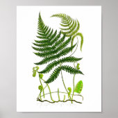 Antiek Fern Print No.9 Green Natuur Botanische Kun (Voorkant)