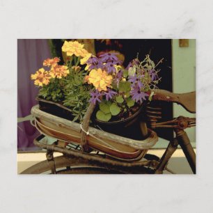 Antiek fiets briefkaart