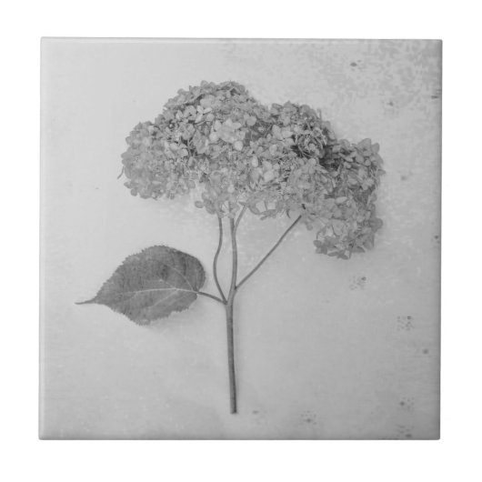  Antiek flesje (zwart en wit) Tegeltje (Voorkant)