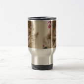 Antiek foto Victoriaans vrouw en hond Reisbeker (Center)