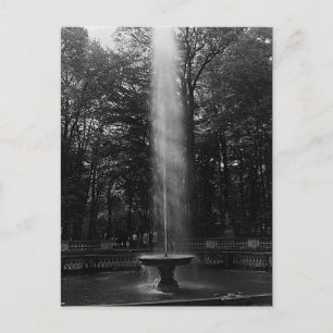 Antiek Frankrijk Paleis Versailles bos van Koepels Briefkaart
