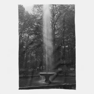 Antiek Frankrijk Paleis Versailles bos van Koepels Theedoek