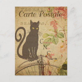 Antiek Frans Kat Briefkaart