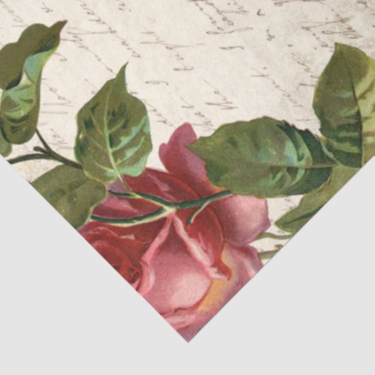 Antiek Frans Roos Ephemera-ontkoppeling Tissuepapier (Detail)