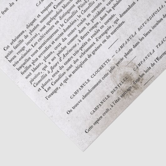 Antiek  Franse boekenpagina's ontkoppeling Tissuepapier (Detail)