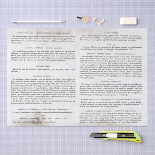 Antiek Franse boekenpagina's ontkoppeling Tissuepapier (Craft)