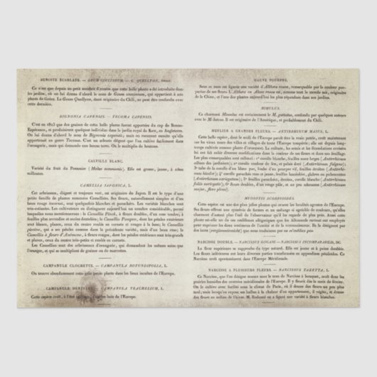 Antiek Franse botanische boekpagina's Tissuepapier (Voorkant)