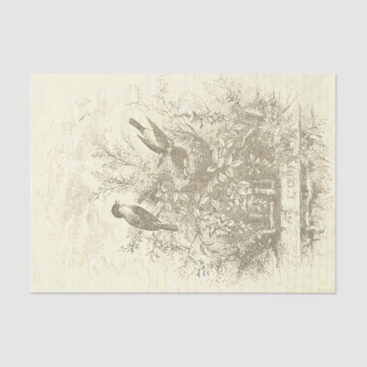 Antiek Franse  Vogels Nest Beige Tissuepapier (Voorkant)