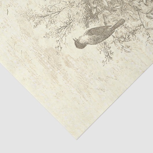 Antiek Franse  Vogels Nest Beige Tissuepapier (Detail)