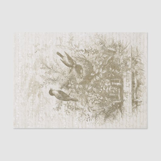 Antiek Franse  Vogels Nest Gouden Beige Tissuepapier (Voorkant)