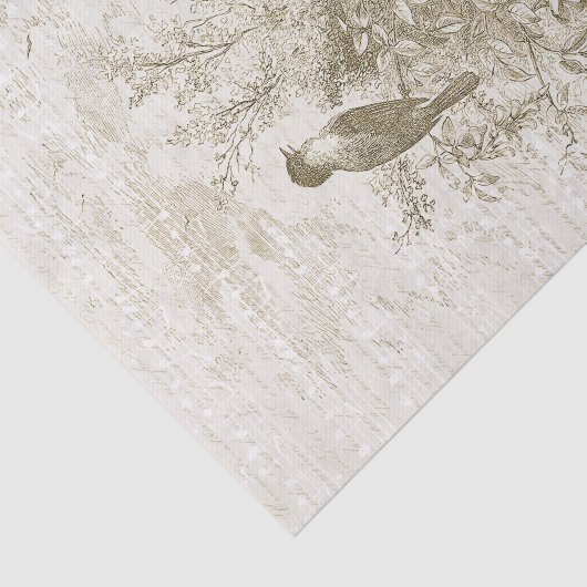 Antiek Franse  Vogels Nest Gouden Beige Tissuepapier (Detail)