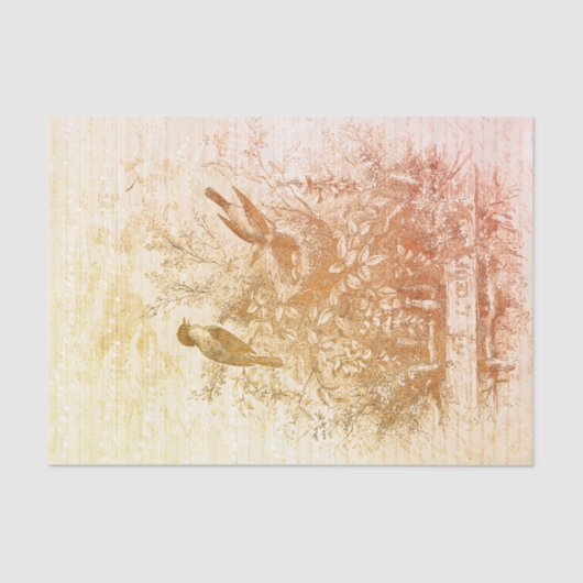 Antiek Franse  Vogels Nest Rood Sinaasappel Tissuepapier (Voorkant)