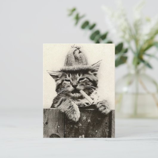 Antiek Funny Nostalgia Cat/kitten Briefkaart (Staand voorkant)