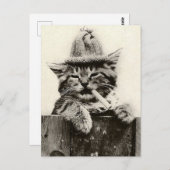 Antiek Funny Nostalgia Cat/kitten Briefkaart (Voorkant / Achterkant)