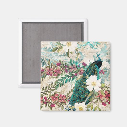 Antiek geïllustreerd perceel- en bloembollen magneet (Voorkant / Achterkant)