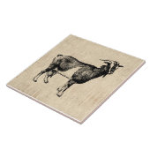 Antiek Geitenillustratie met de achtergrond van he Tegeltje (Zijkant)