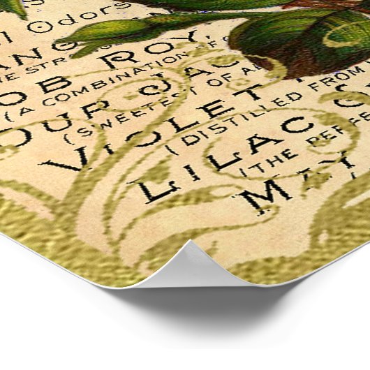 Antiek-gele rozenparfum poster (Hoek)