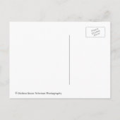 Antiek gevechtsvliegtuig Biplane Dreamer Briefkaart (Achterkant)