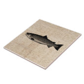 Antiek Gevist Kunstforel Vis Illustratiescript Tegeltje (Zijkant)