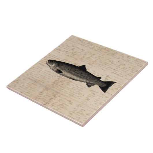Antiek Gevist Kunstforel Vis Illustratiescript Tegeltje (Zijkant)