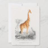 Antiek Giraffe Natuurhistorische Print Orbigny Kaart (Voorkant)