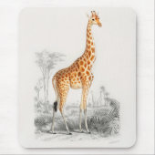 Antiek Giraffe Natuurhistorische Print Orbigny Muismat (Voorkant)