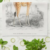 Antiek Giraffe Natuurhistorische Print Orbigny Theedoek (Gevouwen)