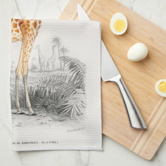 Antiek Giraffe Natuurhistorische Print Orbigny Theedoek (Quarter Fold)